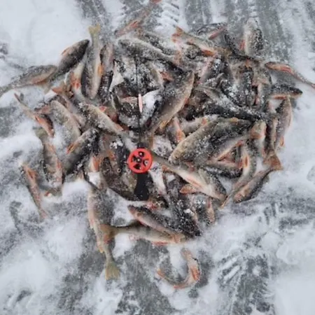 Huset Ved Evja 別荘 Ulefoss