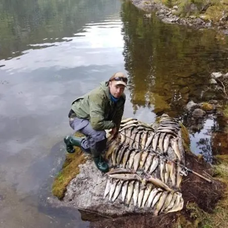 Huset Ved Evja Holiday home Ulefoss