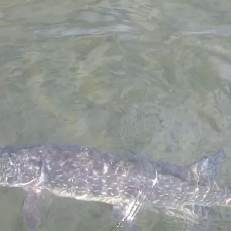 Holiday home Huset Ved Evja *